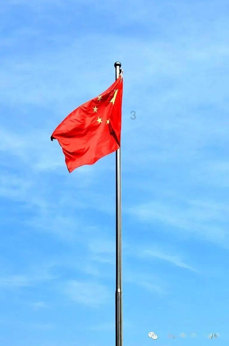 她的故事